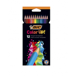 ESTUCHE 12 LAPICEROS INTENSITY UP COLORES SURTIDOS BIC 9505273