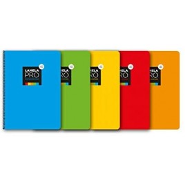 CUADERNO FOLIO EXTRA DURA 100 HOJAS 3 MM SURTIDOS LAMELA