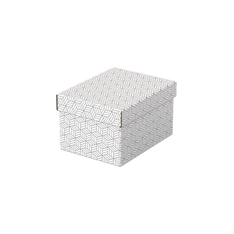 PACK 3 CAJAS BLANCAS 255X200X150MM ESSELTE 628280