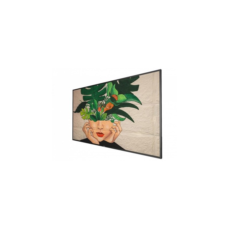 MONITOR PHILIPS 55 D LINE PANEL VA 8BIT D LED 16 9 3840X2160 500CD M2 8MS PIXEL PITCH 0315 X 0315 VESA 400X400 M6 SOC MS 92Q US