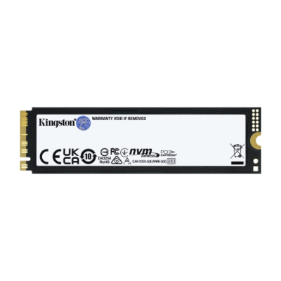 Kingston Technology 1T FURY RENEGADE G5 M2 2280 NVMe SSD