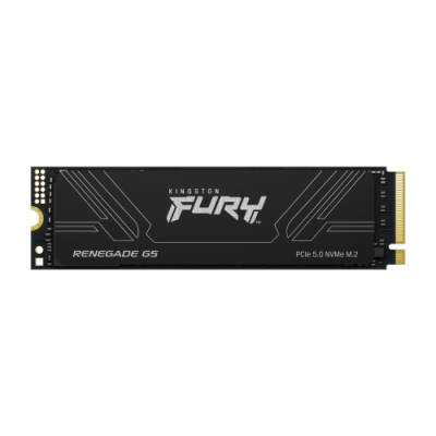 Kingston Technology 1T FURY RENEGADE G5 M2 2280 NVMe SSD