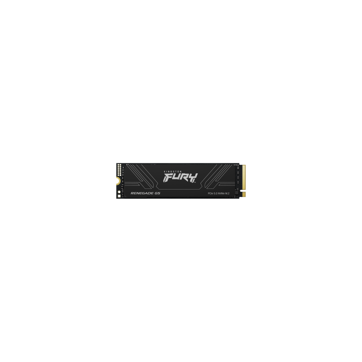 Kingston Technology 1T FURY RENEGADE G5 M2 2280 NVMe SSD