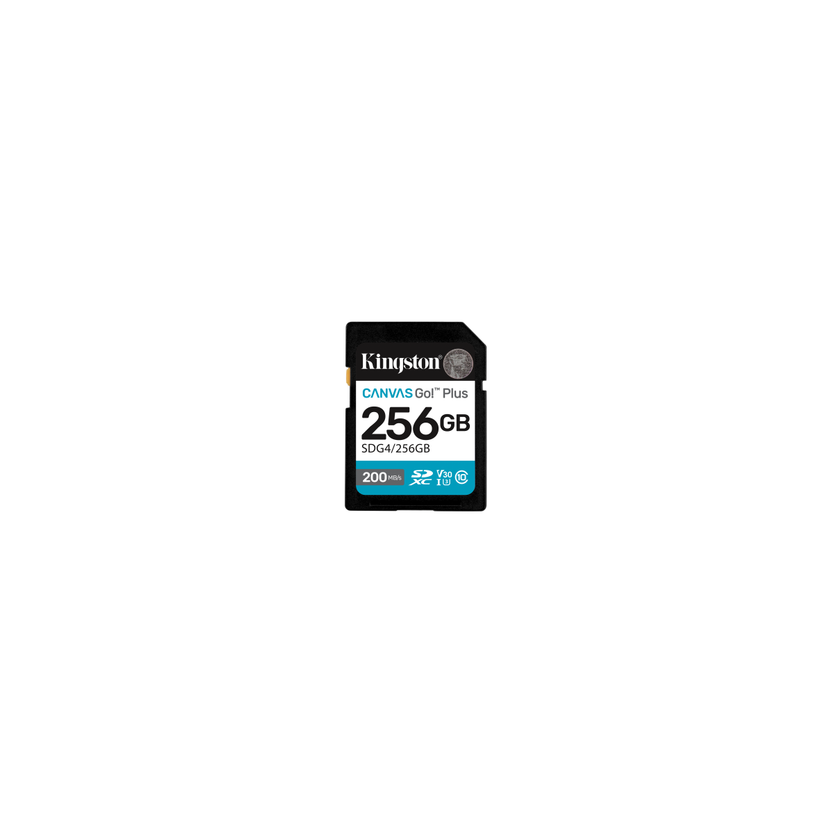 Kingston Technology 256GB SDXC Canvas Go Plus Gen4 200MB s C10 UHS I U3 V30
