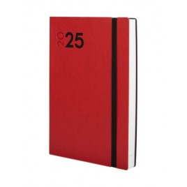 AGENDA 2025 DYNAMIC MARA Y10 140X204MM DIA PAGINA ROJO FINOCAM 621163025