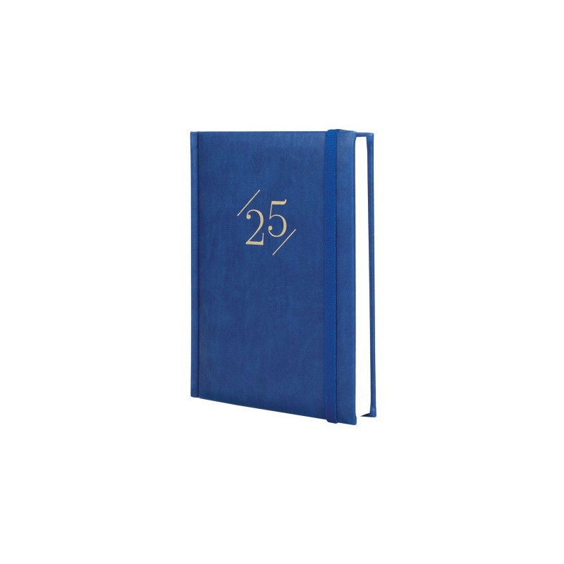 AGENDA 2025 DYNAMIC LONDON Y10 140X204MM DIA PAGINA AZUL FINOCAM 625320125