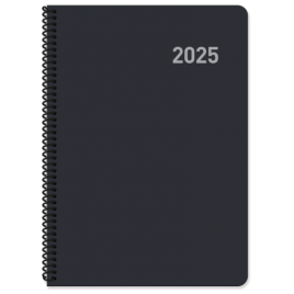 AGENDA 2025 PARIS DIA PAGINA 15x21 COLSURTIDOS ESPIRAL CASTELLANO INGRAF 355425