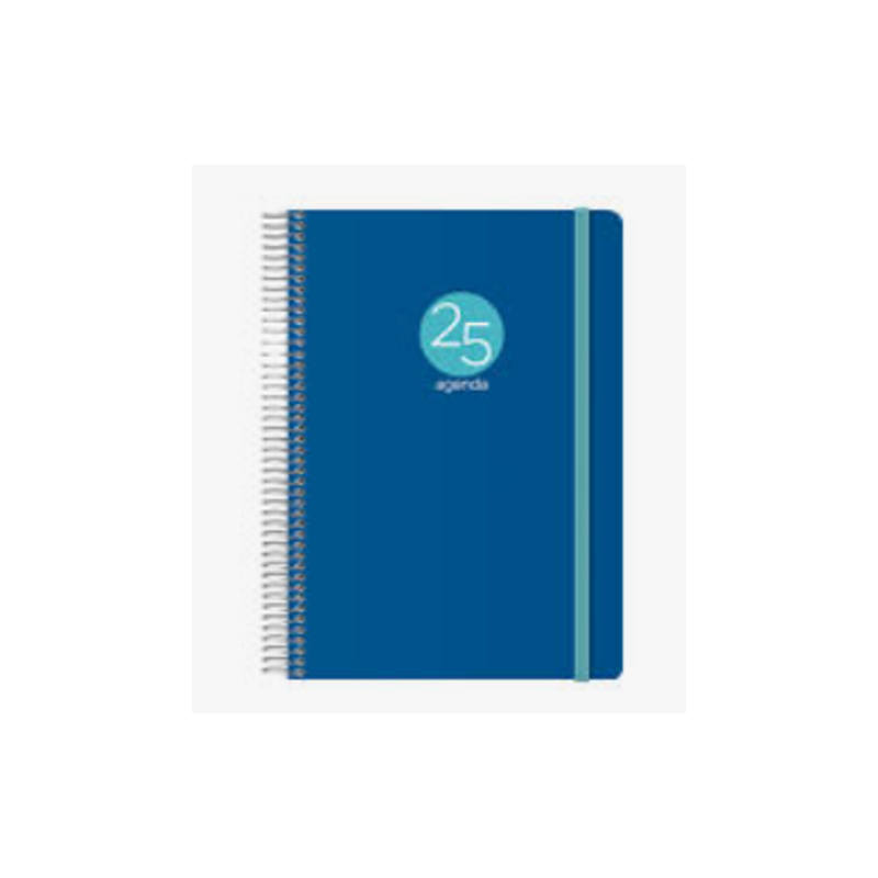 DOHE 12746 25 agenda Agenda diaria 336 paginas Azul