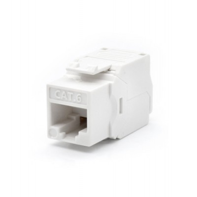 WP WPC KEY 6UP TL W conector RJ45 Blanco