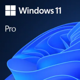 Microsoft Windows 11 Pro 1 licencias