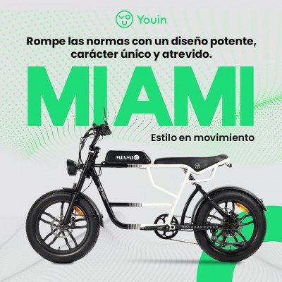 YOUIN E BIKE URBAN STYLE FAT 2