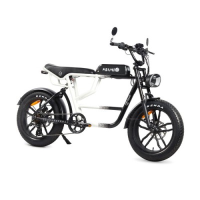 YOUIN E BIKE URBAN STYLE FAT 2