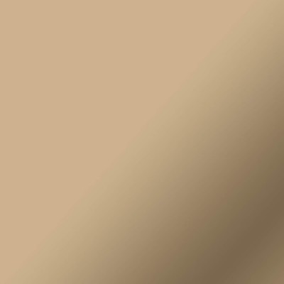 Cricut 2011610 vinilo adhesivo Permanente Champan Mate