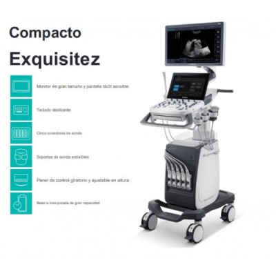 SONOSCAPE ECOGRAFO P10 C FIELD BEAM U SCAN COLOR DINAMICO HD FLOW IMaGENES ESPECIFICAS DE TEJIDOS