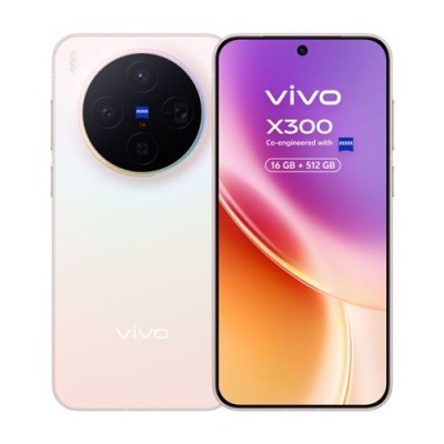 VIVO X300 512G16G Pink
