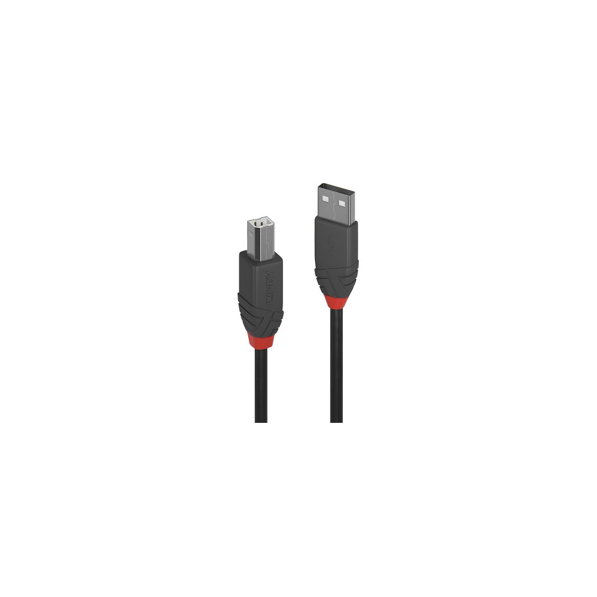 Lindy 36673 cable USB USB 20 2 m USB A USB B Negro