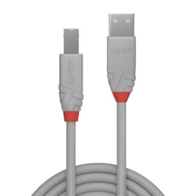 Lindy 36685 cable USB USB 20 5 m USB A USB B Gris