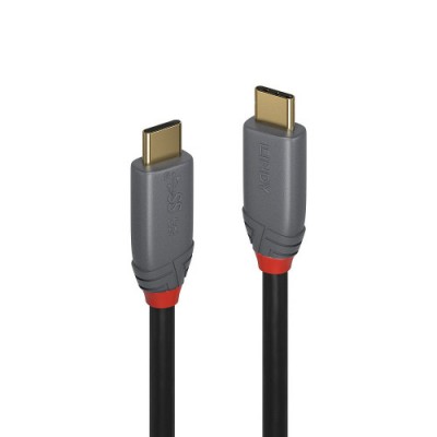 Lindy 36901 cable USB 1 m USB C Negro Gris