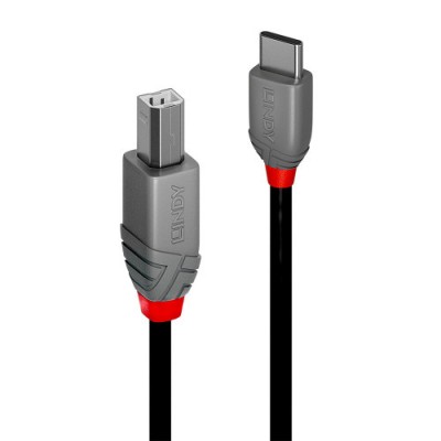 Lindy 36943 cable USB USB 20 3 m USB C USB B Negro