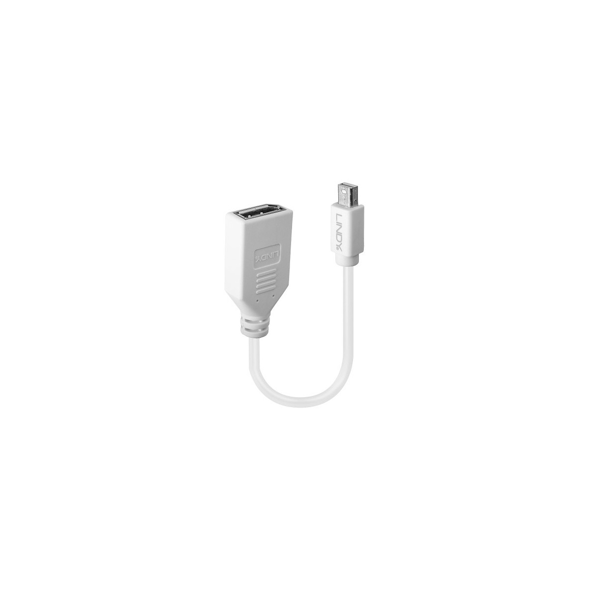 Lindy 41021 cable DisplayPort 015 m Mini DisplayPort Blanco