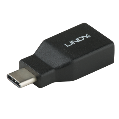 Lindy 41899 cambiador de genero para cable USB 31 C USB 31 A Negro
