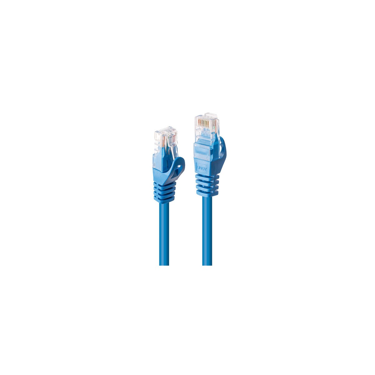 Lindy 48170 cable de red Azul 03 m Cat6 U UTP UTP