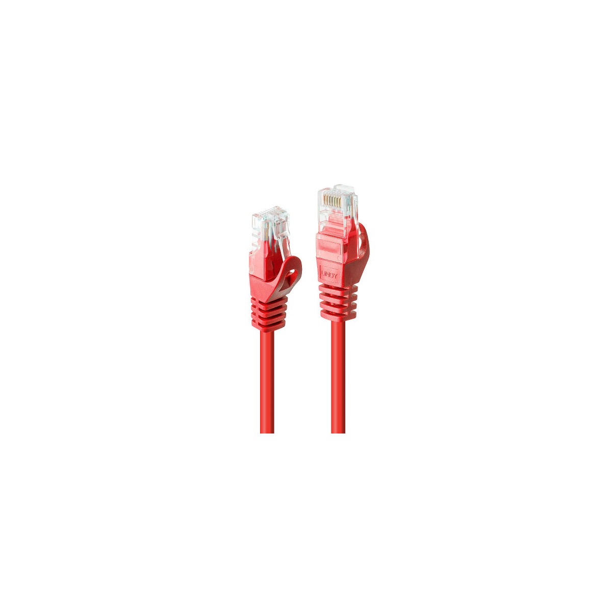Lindy 48181 cable de red Rojo 05 m Cat6 U UTP UTP