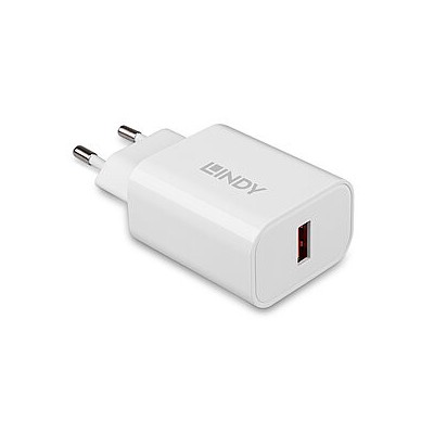 Lindy 73412 cargador de dispositivo movil Smartphone Tableta Blanco Corriente alterna Carga rapida Interior Exterior