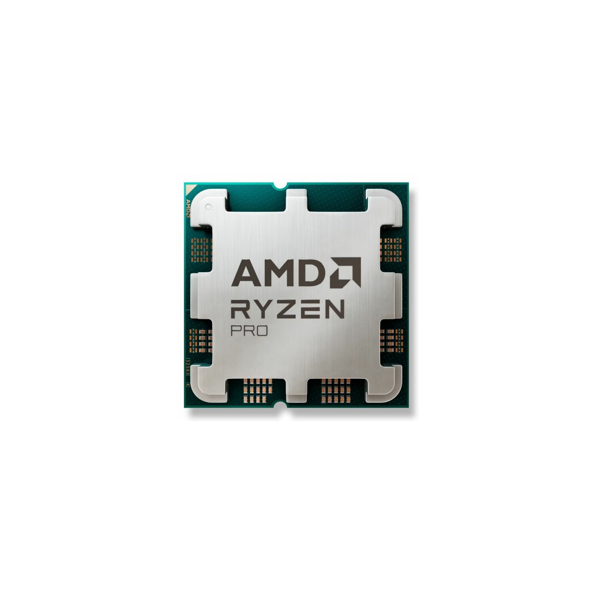 AMD Ryzen 5 PRO 8600G procesador 43 GHz 16 MB L3