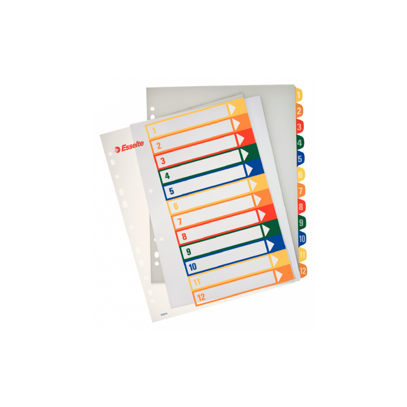INDICES DE PROYECTOS POLIPROPILENO 1 12 POSICIONES IMPRIMIBLES FORMATO A4 MAXI ESSELTE 100214