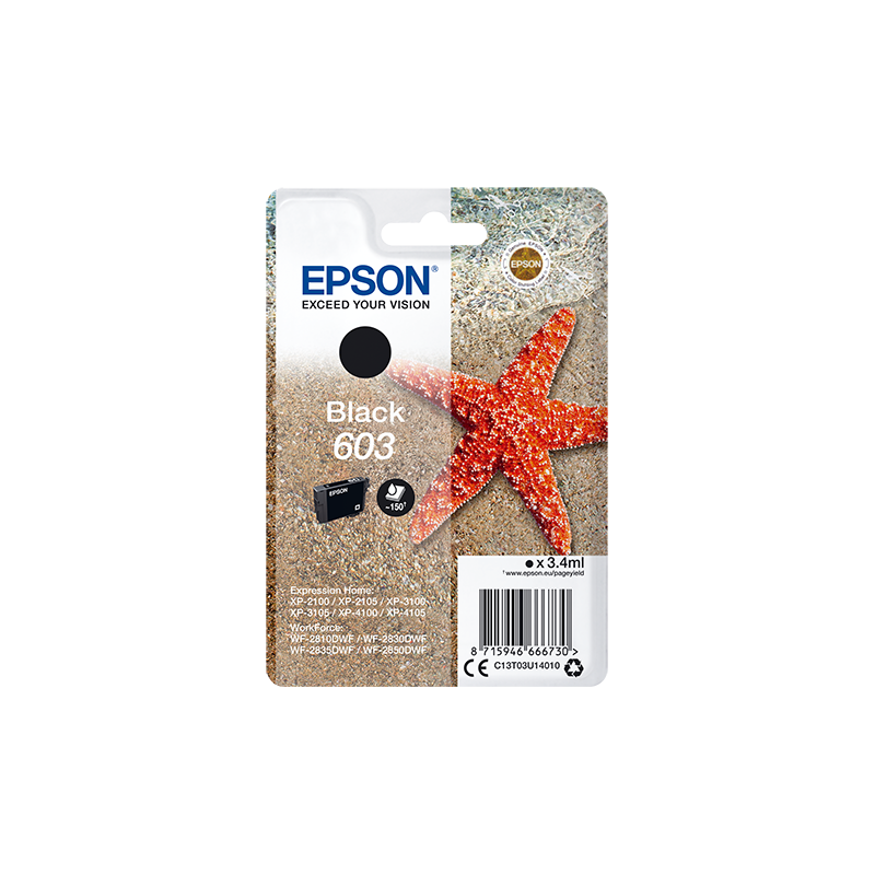 Epson Singlepack Black 603 Ink