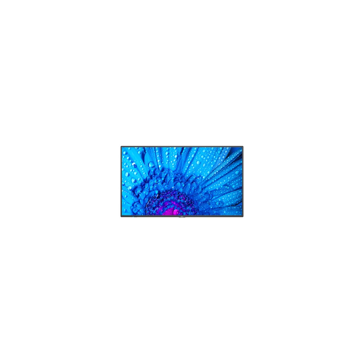 NEC MultiSync M551 Pantalla plana para senalizacion digital 1397 cm 55 LCD 500 cd m 4K Ultra HD Negro 24 7
