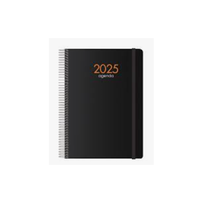 AGENDA 2025 SYNCRO DiA PaGINA 15 X 21 CM NEGRO DOHE 11620 25