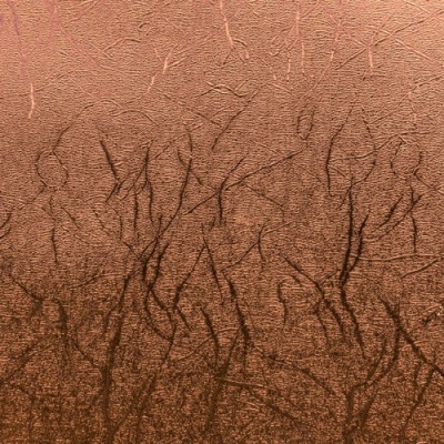 Cricut 2005231 papel metalizado para manualidades